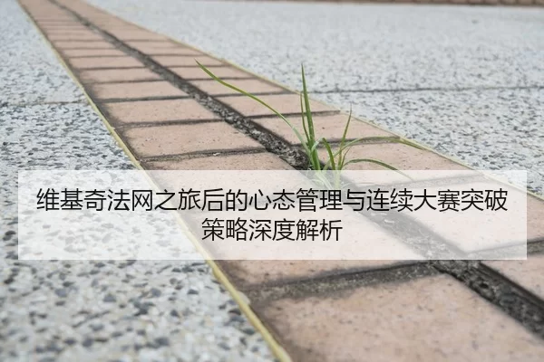 维基奇法网之旅后的心态管理与连续大赛突破策略深度解析